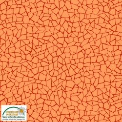 Red on Orange Cracks - Quilters Coordinates
